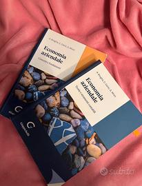 Libri economia aziendale - Broglia, Corsi, Mion