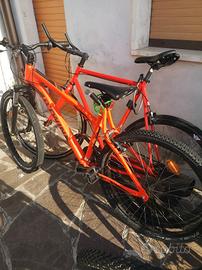 bici nuove