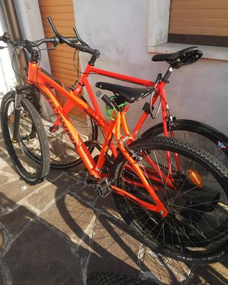 bici nuove