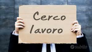 Collaborazioni lavorative - Segreteria | Back Of