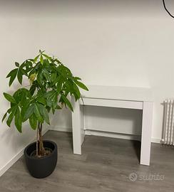 Consolle allungabile tavolo