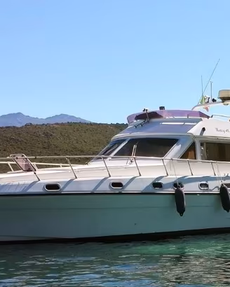 Barca a motore fly Piantoni Fantasy 45
