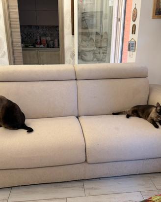 Divano letto poltrone e sofà 4 posti
