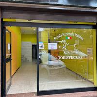 Locale commerciale Frascati