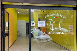 Locale commerciale Frascati