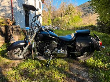 Dragstar XVS 650 Classic