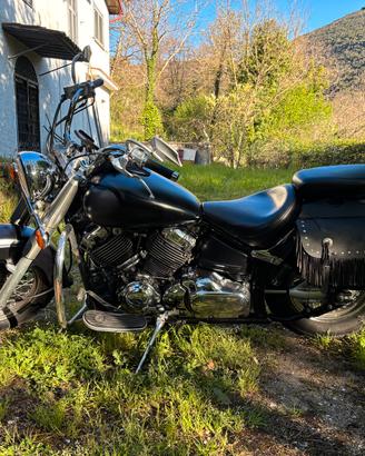 Dragstar XVS 650 Classic