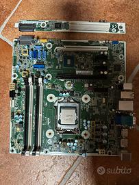 Scheda madre hp intel