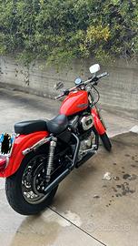 Harley Davidson Sportster 883