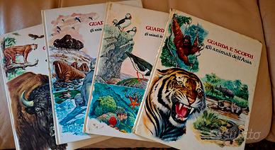 Guarda e scopri gli animali - amz editrice
