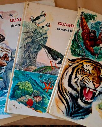 Guarda e scopri gli animali - amz editrice