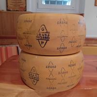 Grana Padano forme plastica vuote