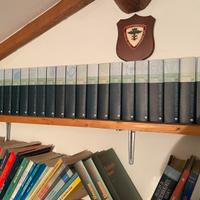 Enciclopedia Rizzoli-Larousse