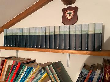 Enciclopedia Rizzoli-Larousse