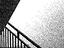Immagine 10