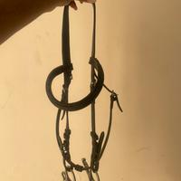 uke testiera cavallo