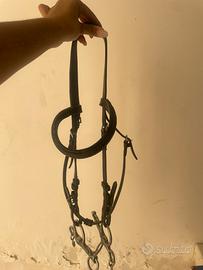 uke testiera cavallo