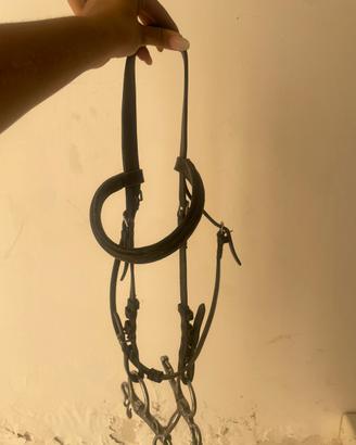 uke testiera cavallo