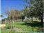 Immagine 23