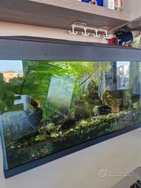Acquario completo