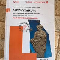 Meta viarum 1