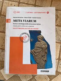 Meta viarum 1