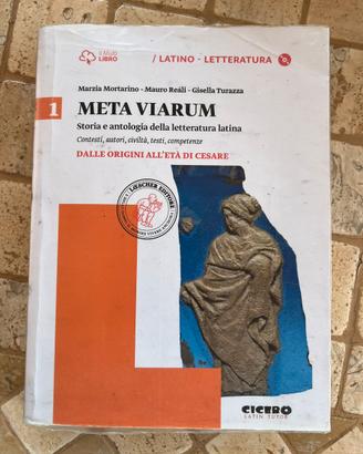 Meta viarum 1