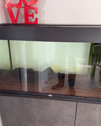 Acquario JUWEL RIO 125 LED