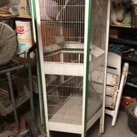 VOLIERA UCCELLI TORTORE PAPPAGALLI CANARINI