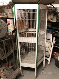 VOLIERA UCCELLI TORTORE PAPPAGALLI CANARINI