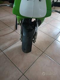 minimoto Polini 