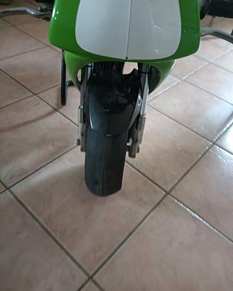 minimoto Polini 