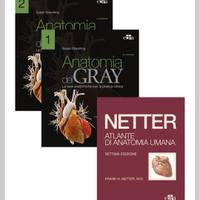 Netter Gray. L'anatomia Anatomia del Gray + Atlant