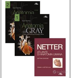 Netter Gray. L'anatomia Anatomia del Gray + Atlant