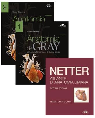 Netter Gray. L'anatomia Anatomia del Gray + Atlant