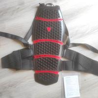DAINESE PRO-ARMOR BACK LONG 2.0 - PARASCHIENA MOTO