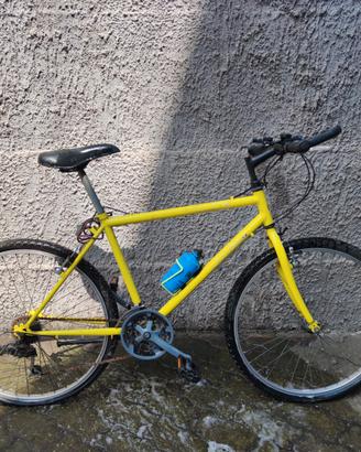 Bicicletta Mountain bike