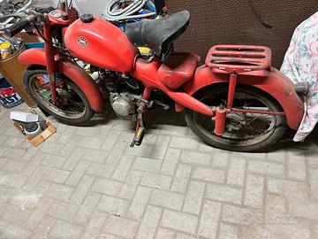Motom 48 cc