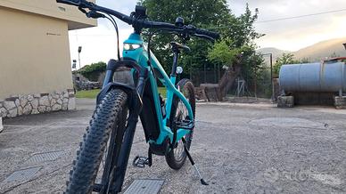 Bianchi e omnia x type
