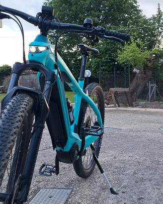 Bianchi e omnia x type
