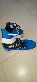 Nike Air Zoom Pegasus 39 tg. 42,5