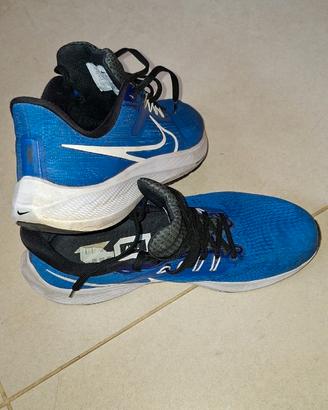 Nike Air Zoom Pegasus 39 tg. 42,5