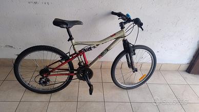 Bicicletta 24