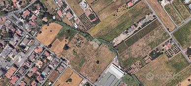 TER. AGRICOLO A ROMA