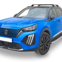 Porta pacchi Peugeot 2008