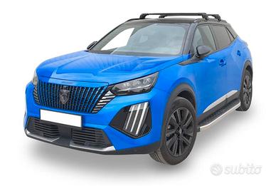 Porta pacchi Peugeot 2008