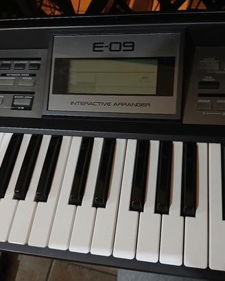 Roland E-09 Arranger