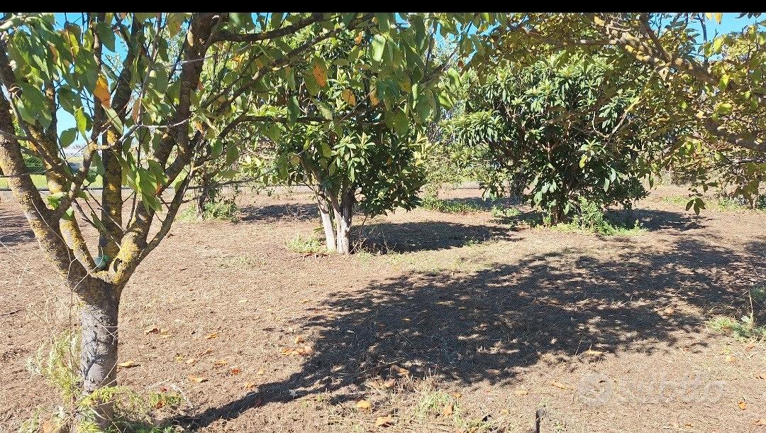 ULTIMI GIORNI ---> Terreno ANGRI SUPERAFFARE - Vista 2