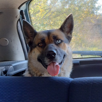 Elis: affettuosa,ubbidiente,