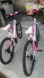  2 bici marzano